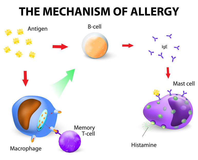 allergies in the emergency department