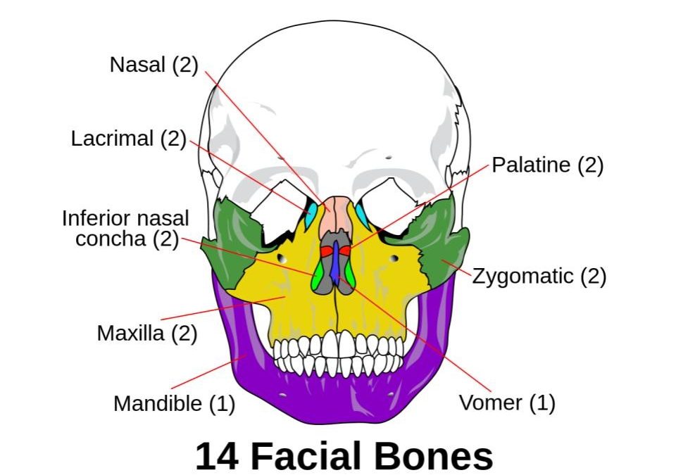facial injuries