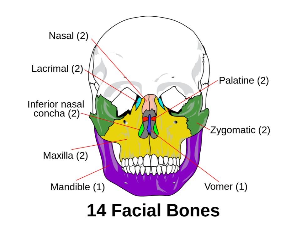 facial injuries