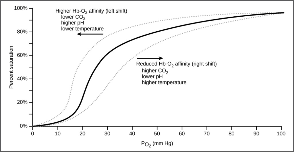 oxygen-dissociation curve
