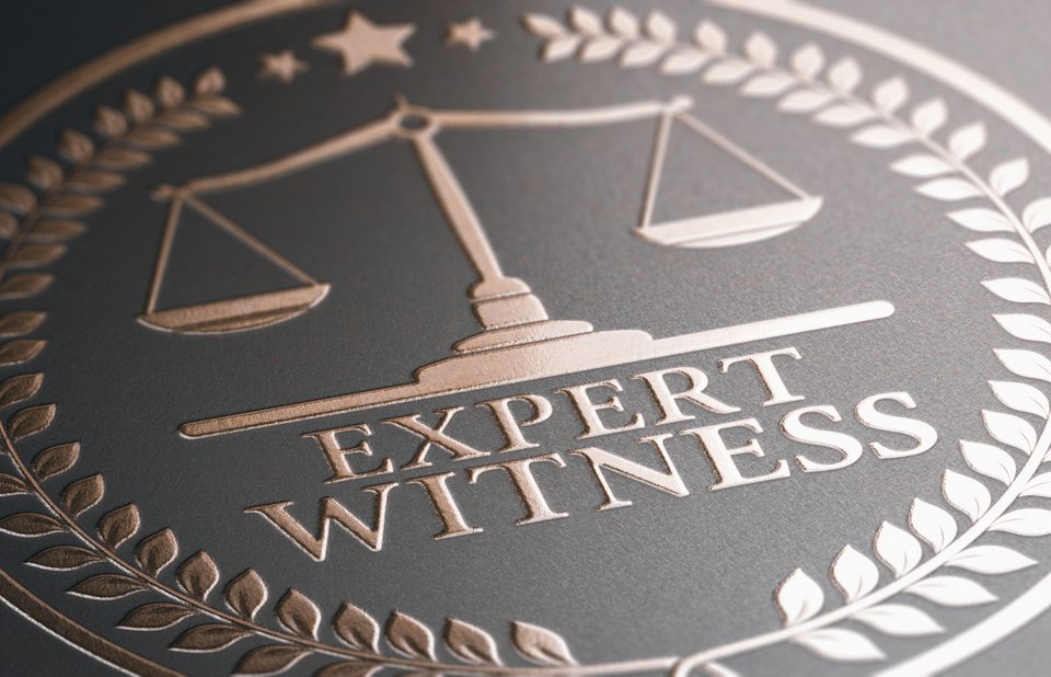 expert witnesses