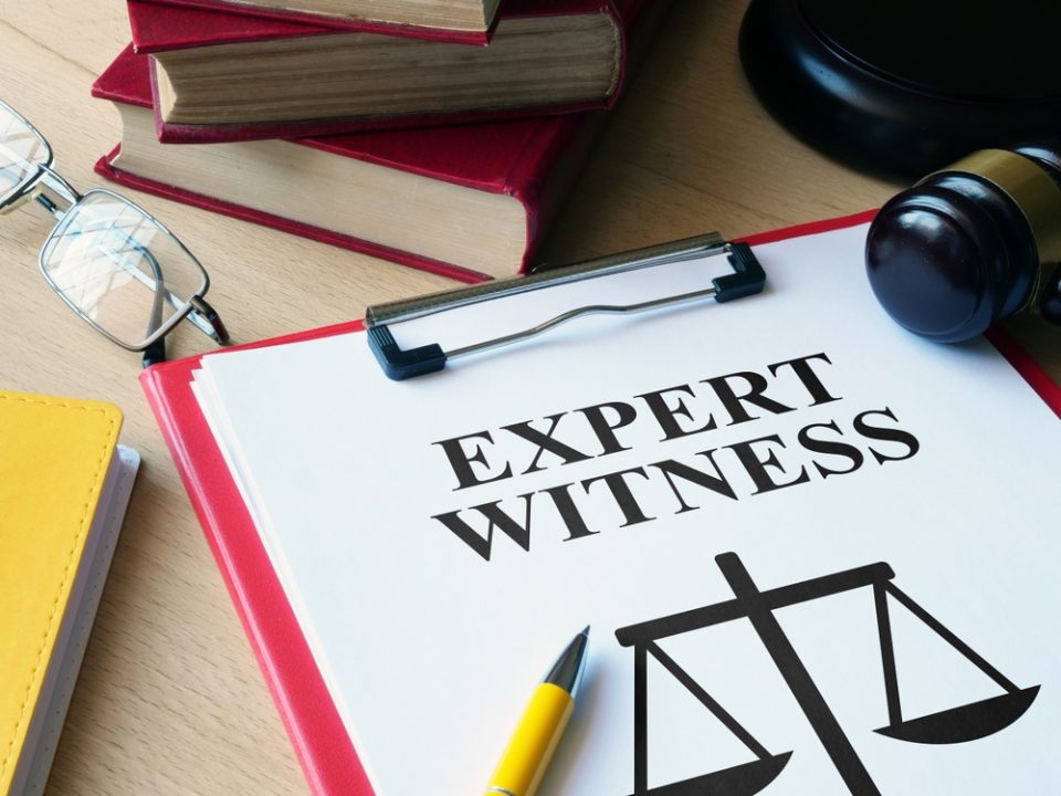 expert witness must be independent
