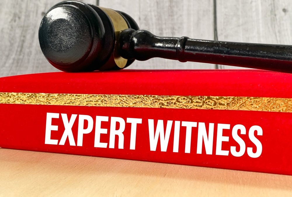 expert witness duties