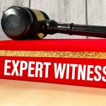 expert witness duties