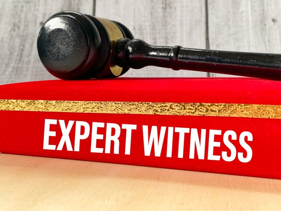 expert witness duties